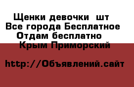 Щенки девочки 4шт - Все города Бесплатное » Отдам бесплатно   . Крым,Приморский